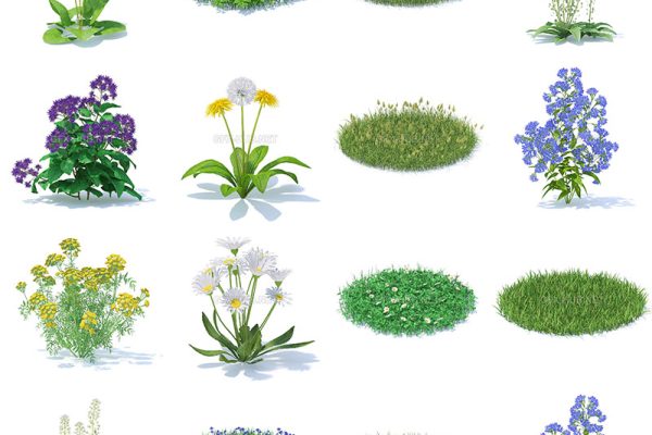 51套野生植物和花朵草坪C4D/3D模型