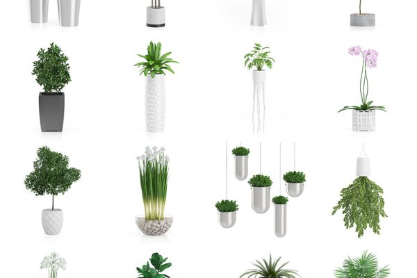 60款植物盆栽盆景C4D/3D模型