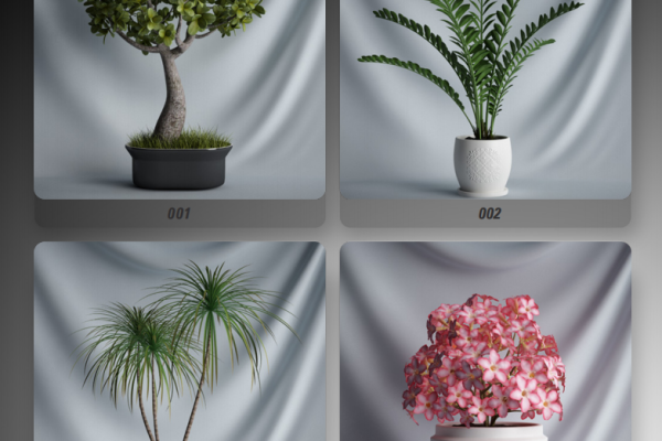 20款高品质植物盆栽C4D/3D模型