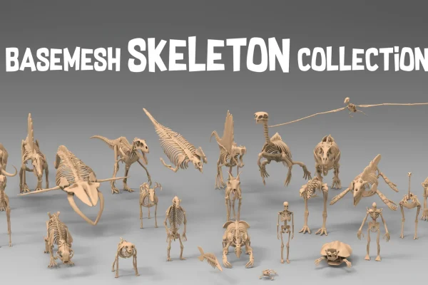 25款动物人物恐龙骨骼骨架骨头3D/C4D/blend模型