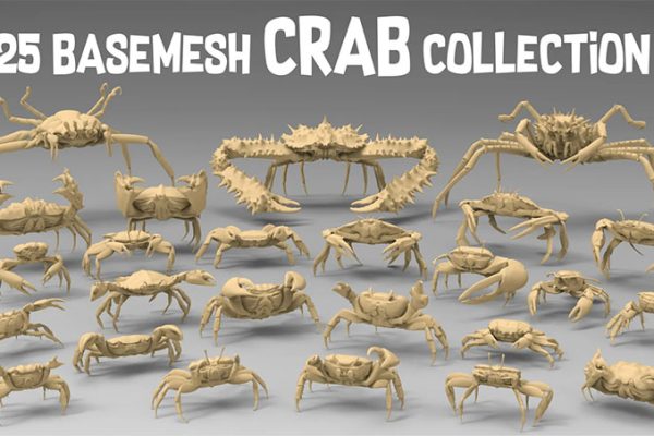 25款螃蟹大闸蟹动物帝王蟹龙虾C4D/3D/blender模型