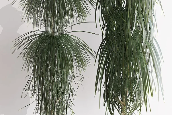 户外植物盆栽3D模型