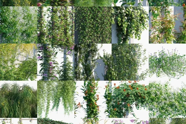 15种景观藤蔓和爬山虎花卉等植物3D模型