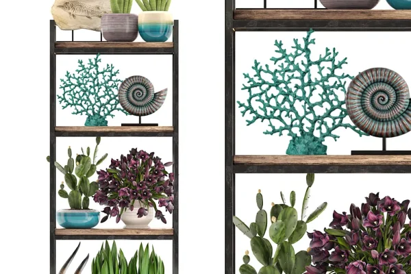 格子装饰架和花卉摆件植物3D模型